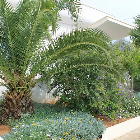 Guest house Salenthouse 3*